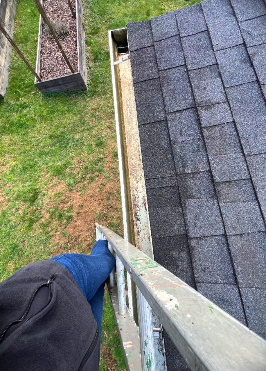 Professional cleaning gutters on residential home